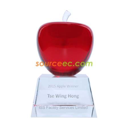 Customized Trophy