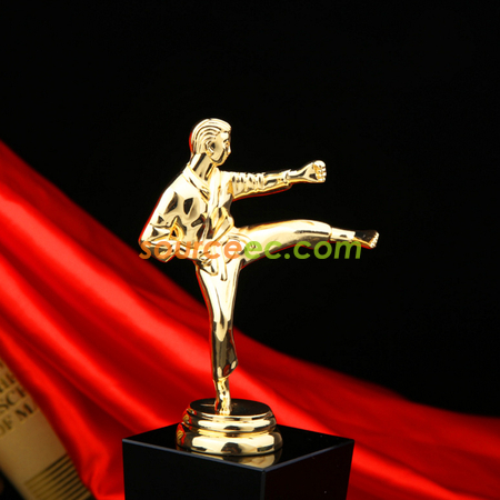 Customization Trophy Corporate Gifts