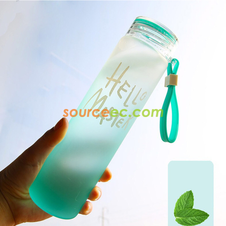 480ML Frosted Glass