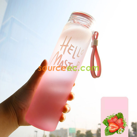 Customization 480ML Frosted Glass Corporate Gifts