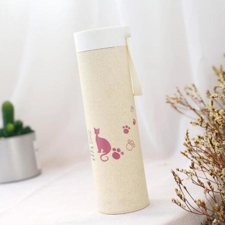 Customization Glass Water Bottle Corporate Gifts