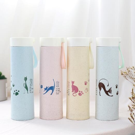 Customization Glass Water Bottle Corporate Gifts