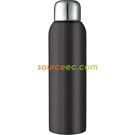 Stainless Sports Bottle