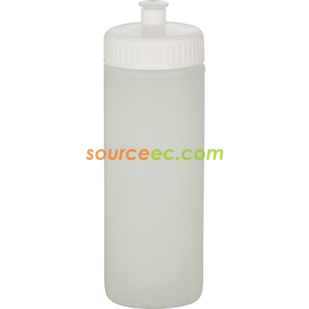 Customization Sports Bottle Corporate Gifts