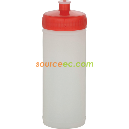 Customization Sports Bottle Corporate Gifts