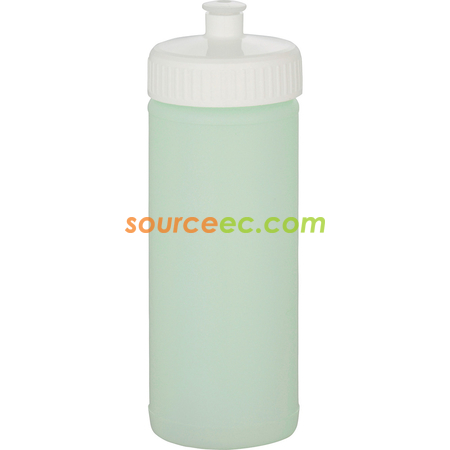 Customization Sports Bottle Corporate Gifts