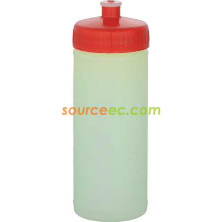 Customization Sports Bottle Corporate Gifts