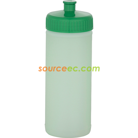 Customization Sports Bottle Corporate Gifts