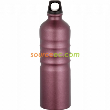 Customization Aluminum Sport Bottle Corporate Gifts
