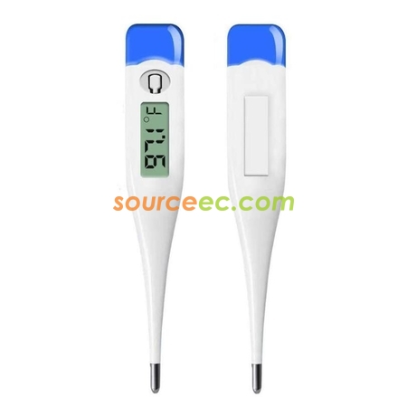 Electronic Thermometer