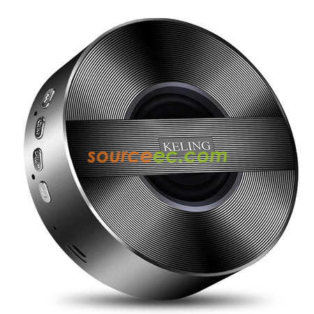 Bluetooth Speaker