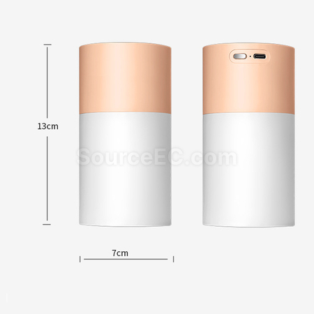Customization Alcohol Disinfection Sprayer Corporate Gifts