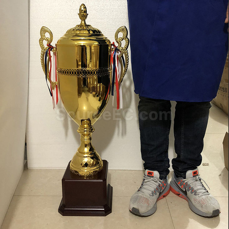 Customization Trophy Cup Corporate Gifts