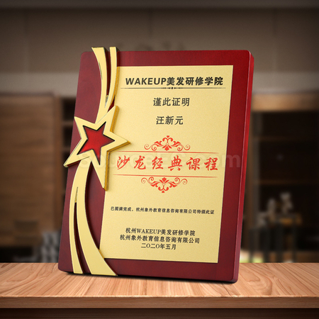 Customization Metal Five Star Medal Corporate Gifts