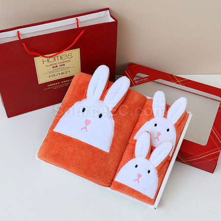 Customization Ribbit Towel Gift Box Corporate Gifts