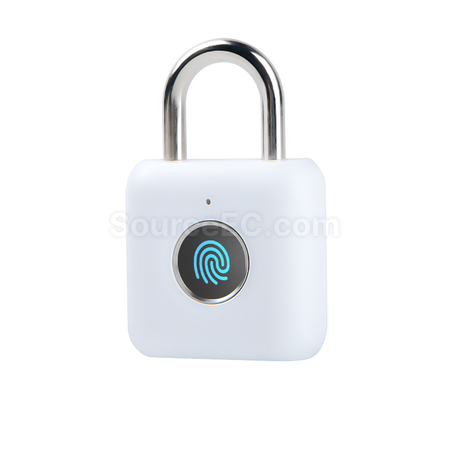 Customization Fingerprint Travel Lock Corporate Gifts