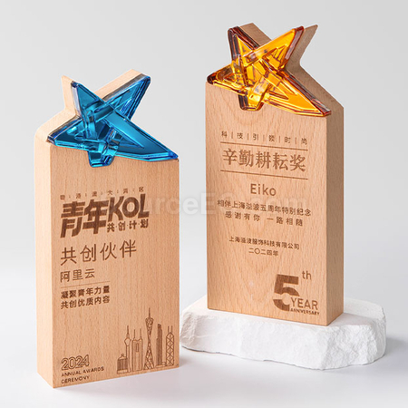 Crystal & Wooden Trophy