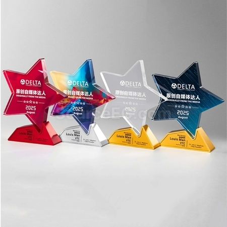 Crystal & Metal Trophy