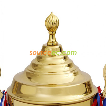 Customization Trophy Cup Corporate Gifts