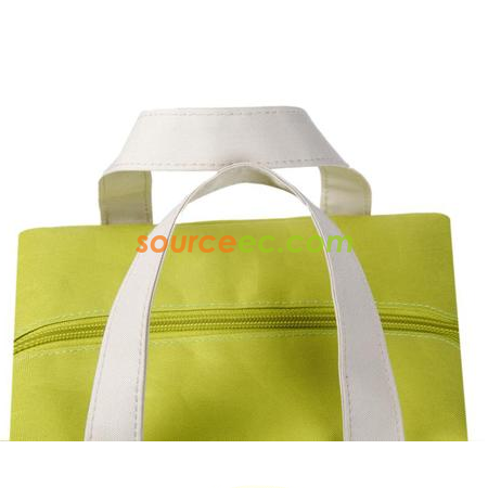 Customization Portable cooler bag Corporate Gifts