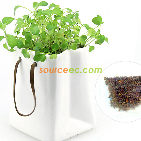 Customization Environmental Planted Gift Corporate Gifts