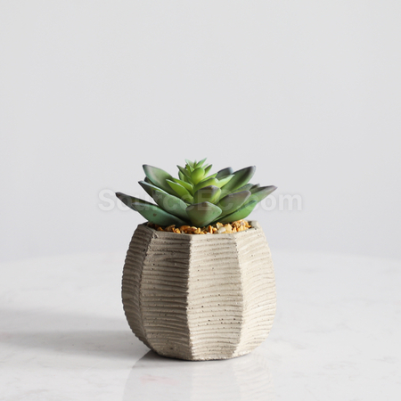 Customization Simulation green plants Corporate Gifts