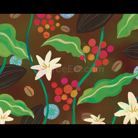 Customization Customized Drip Coffee-Rainforest Corporate Gifts