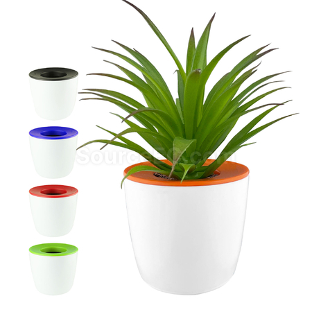 Customization Mini Desk Plant Pot Corporate Gifts