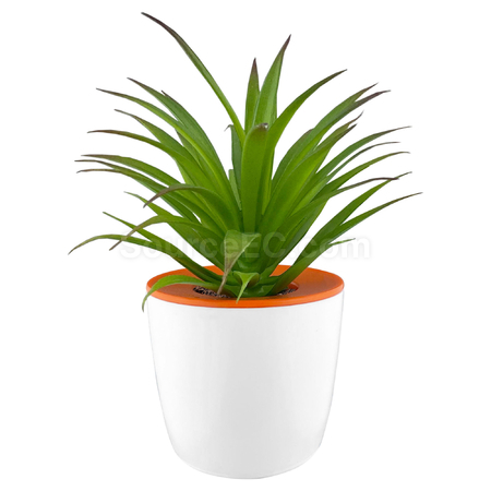 Customization Mini Desk Plant Pot Corporate Gifts