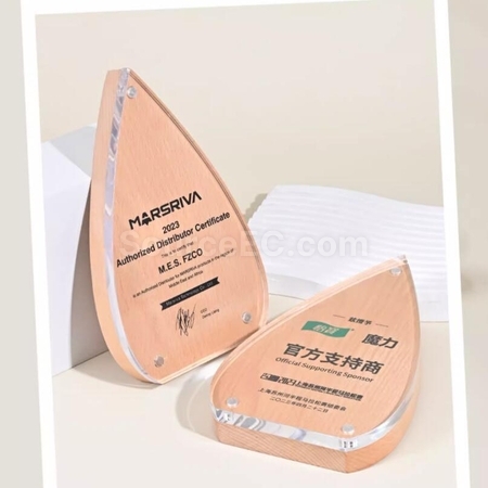 Customization Creative Water Drop Solid Wood Acrylic  rophy Corporate Gifts