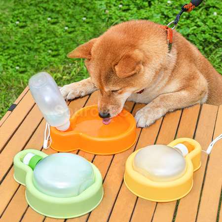 Pet Water Bottle