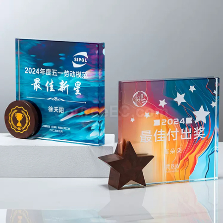 Customization Crystal Trophy  Corporate Gifts
