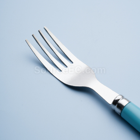 Customization Stainless Steel Tableware Corporate Gifts