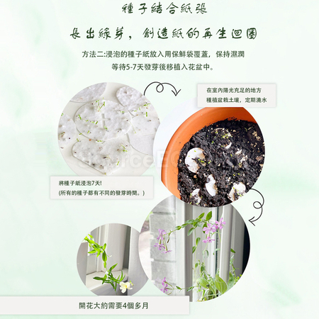 Customization Seed Paper Cup Mat Corporate Gifts
