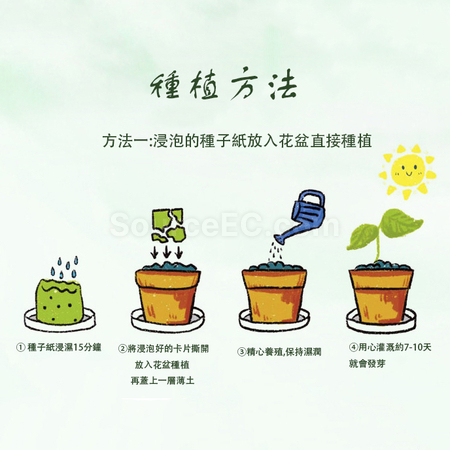 Customization Seed Paper Fan Corporate Gifts