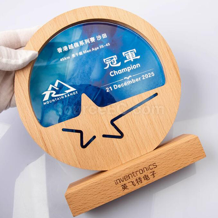 Customization Solid Wood Crystal Award Corporate Gifts