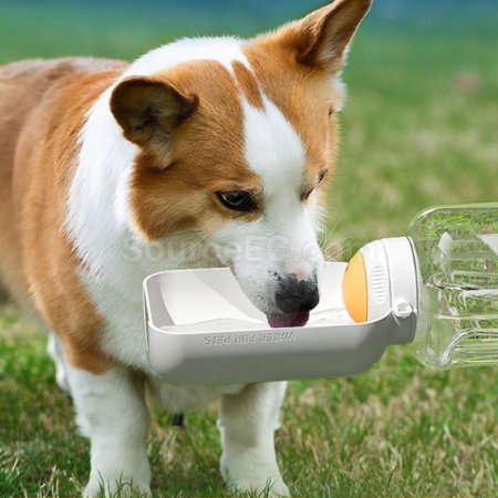 Customization Large-capacity travel water bottle for pets Corporate Gifts