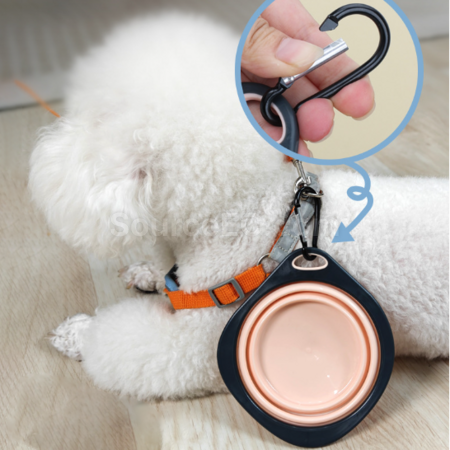 Customization Pet folding bowl Corporate Gifts