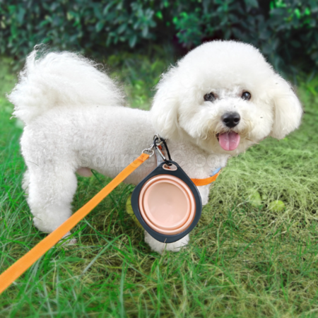 Customization Pet folding bowl Corporate Gifts