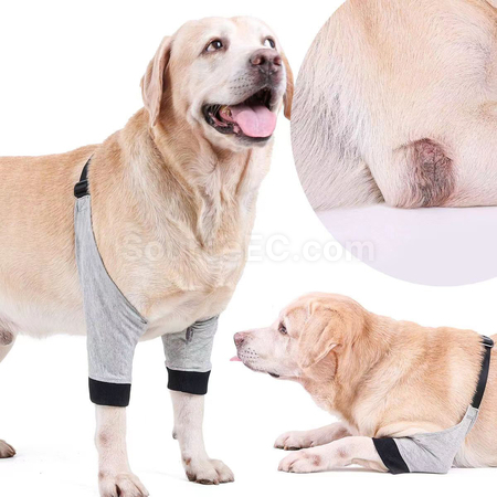 Customization Pet Nnee Pads Corporate Gifts