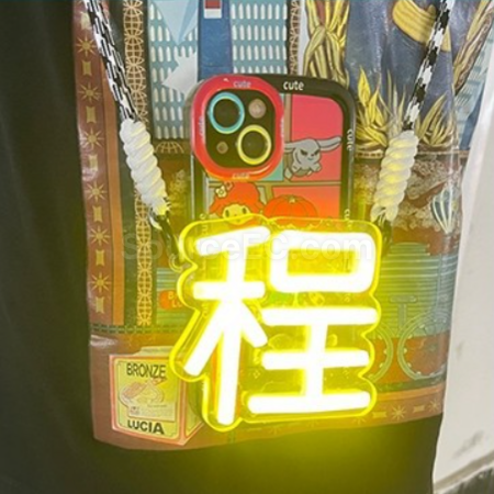 Phone back clip strap LED support light board