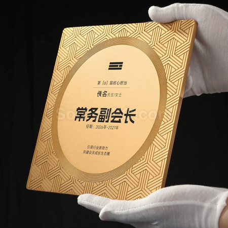 Customization Metal Medal Corporate Gifts