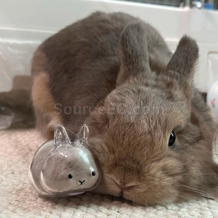 Customization Cute Little Rabbit Transparent Hair Storage Box Corporate Gifts