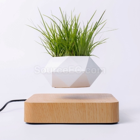 Magnetic Levitation Bonsai (Without Plants)