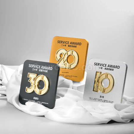 Customization Anniversary Medal Corporate Gifts