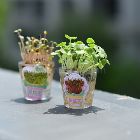 Customization Grass-planting Pen Corporate Gifts
