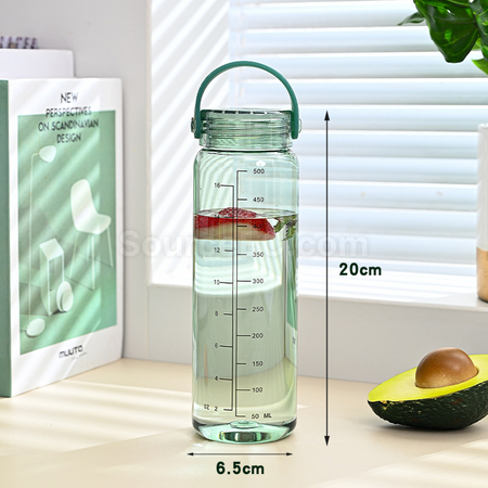 Customization 500ML Promotional Bottle Corporate Gifts