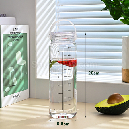 Customization 500ML Promotional Bottle Corporate Gifts