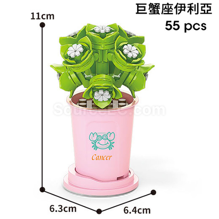 Customization Coffee Cup Plant Series Building Blocks-12 Constellations Succulent Series Corporate Gifts