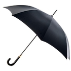 Advertising umbrella